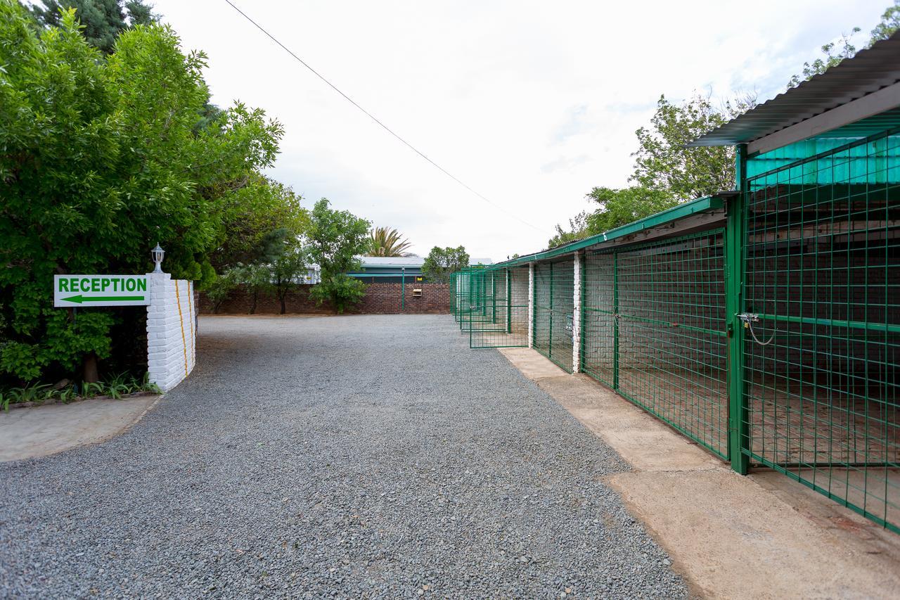Colesview Guest House Colesberg Ngoại thất bức ảnh